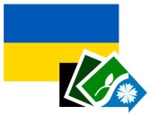 slider.alt.head Praca obywateli Ukrainy - przydatne informacje